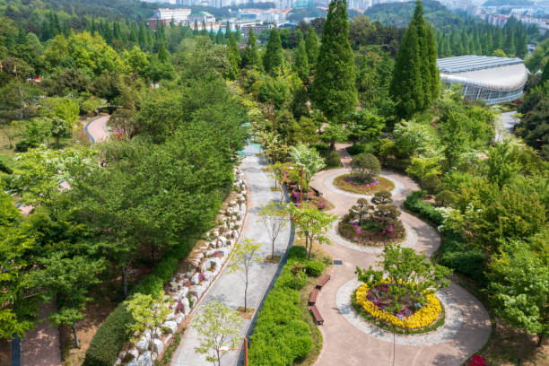 istock Spring scenery of the park taken by drone 2148726562