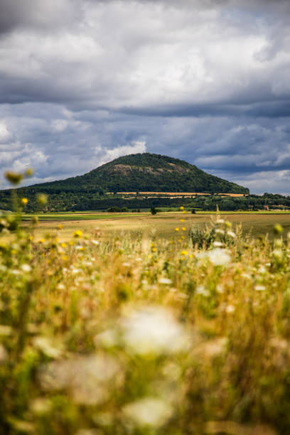 Photo of mountain top on beautiful day taken on Serbian mountain