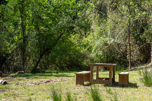 picnic area with wooden furniture in the middle of the natural park