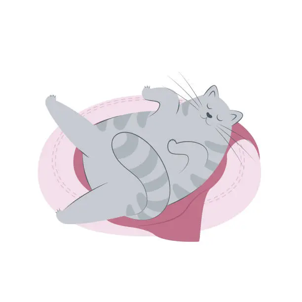 Vector illustration of Cute grey striped cat sleeping on a cat pillow