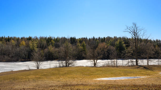 Out door views of Ontario, Canada in early spring
