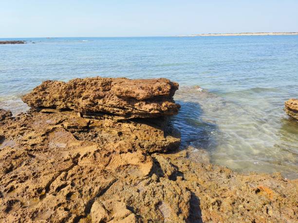 istock Seascape at shivrajpur beach 2148730236