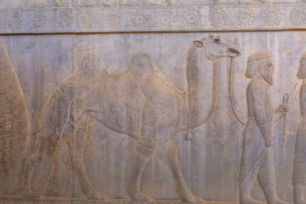 Detailed stone engravings depicting people and animals in motion. A glimpse into ancient artistry, showcasing intricate designs and storytelling, Persepolis, Iran.