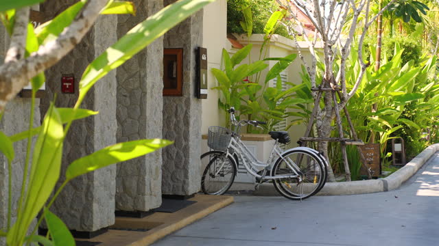 Vintage bicycle parked beside tropical resort walkway surrounded by