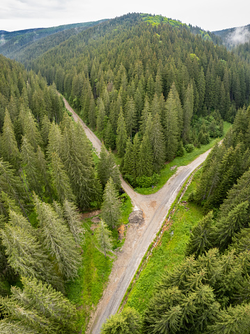 Aerial vertical drone panorama of two dirt roads intersecting while crossing a wild coniferous forest. A stream flows along the road. Cloudy day in Cindrel Mountains, Carpathia.