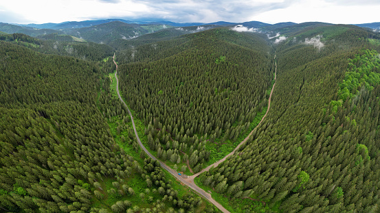 Aerial drone panorama of two dirt roads intersecting while crossing a wild coniferous forest. Rainy day, low altitude clouds are mixing with the tree tops. Cloudt day in Cindrel Mountains, Carpathia.