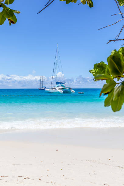 catamaran resting at grande anse beach on praslin island, seychlles.