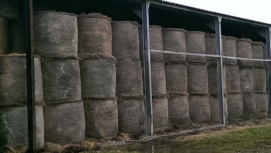 A Hay Barn Filled With Hay Bales, Vale Of Glamorgan South Wales UK