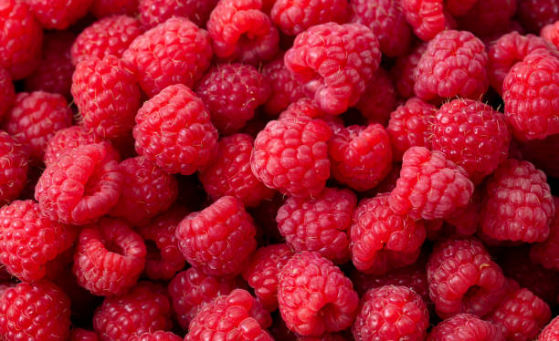 istock Red ripe raspberries as a background. Close-up 2148735160