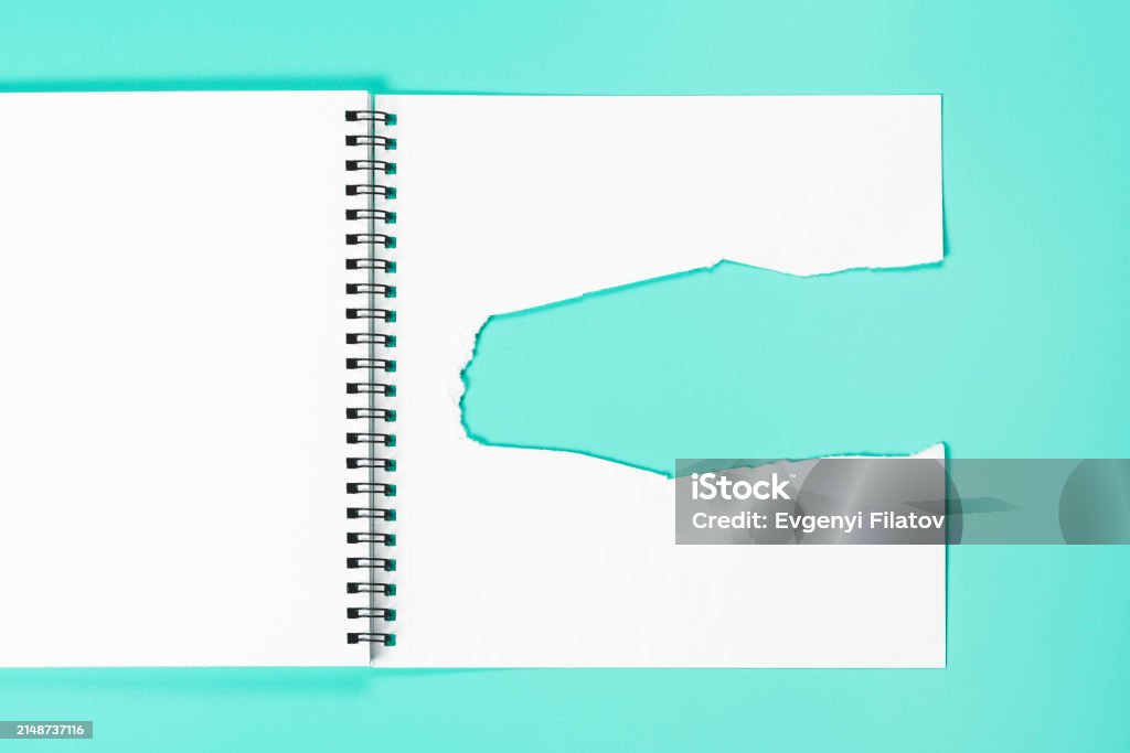 Notebook Flipped Open Open Notebook With Torn Page An Empty Layout Template For Spiral ...