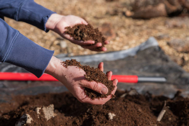 istock Hands in Rich Soil Compost Outdoors 2148737185