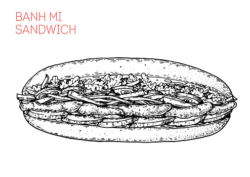 Banh mi sandwich sketch. Hand drawn vector illustration. Vietnamese food. not AI