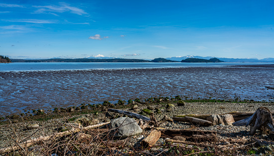 A view of mud flats with ocean water and mountains in the distance. Photp taken near Anacortes, Washington.