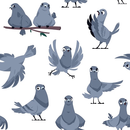 Cartoon pigeon pattern. Seamless print of cute birds in different poses and actions, domestic and wild white and gray dove. Vector texture. Flying and sitting characters, romantic couple on branch