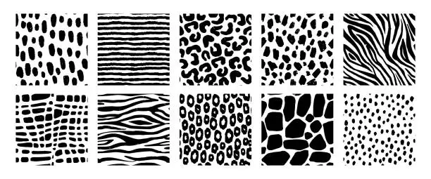 Vector illustration of Black and white animal patterns. Seamless print of wild nature skin textures, abstract decorative crocodile, leopard, zebra, tiger, giraffe. Vector set
