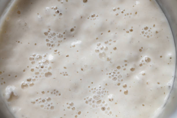 istock close-up of bubbly sourdough starter 2148739403