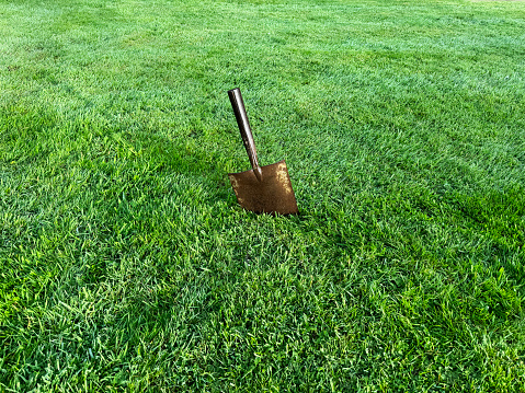 A rusty spade with no handle stuck in the grass