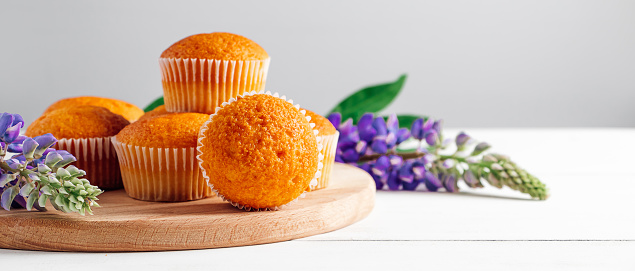Freshly baked muffins and purple lupins on white wooden background. Homemade baking, preparing sweet dessert. Summer recipe. Banner format.