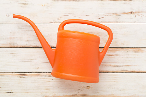 Watering can on wooden background, top, view