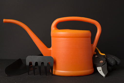Watering can and gardening tools on concrete background