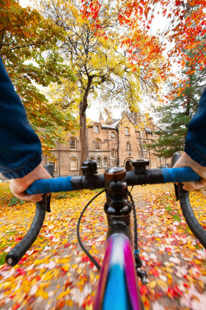 Cyclist point of view bike ride in autumn