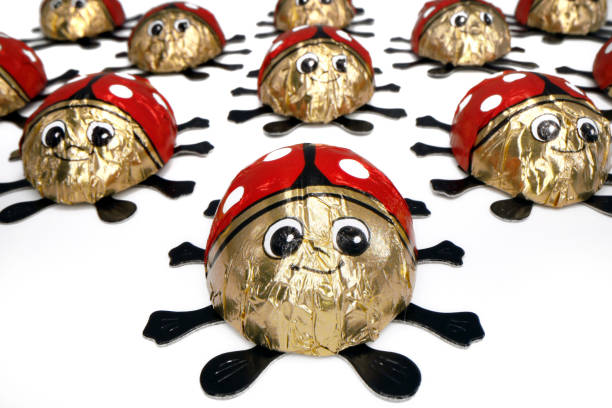 Ladybug chocolates or lucky beetles on a white background, many chocolate ladybirds in wide angle view.
