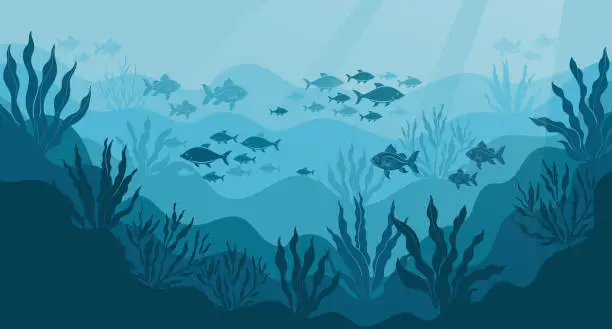 Vector illustration of Underwater ocean landscape, algae and reefs, silhouette of a school of fish. Seabed background with ocean flora and fauna, corals