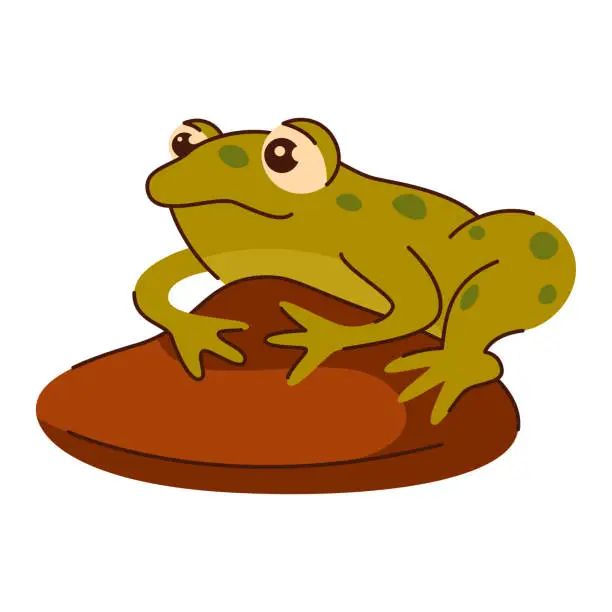 Vector illustration of The cute frog with spots sits on a brown rock. Kids illustration