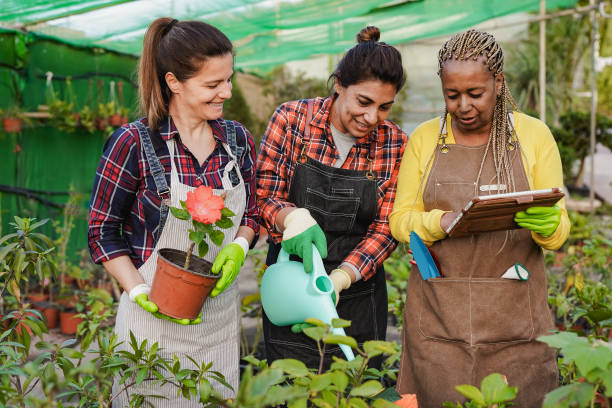 istock Multiracial mature women working inside garden center using digital tablet - Harvest and greenhouse concept 2148744336