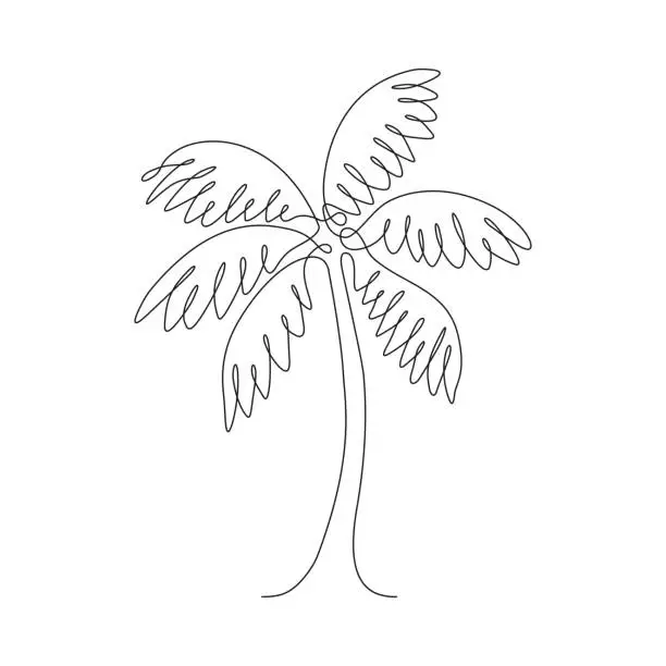 Vector illustration of Palm Tree  Single Line Drawing with Editable Stroke