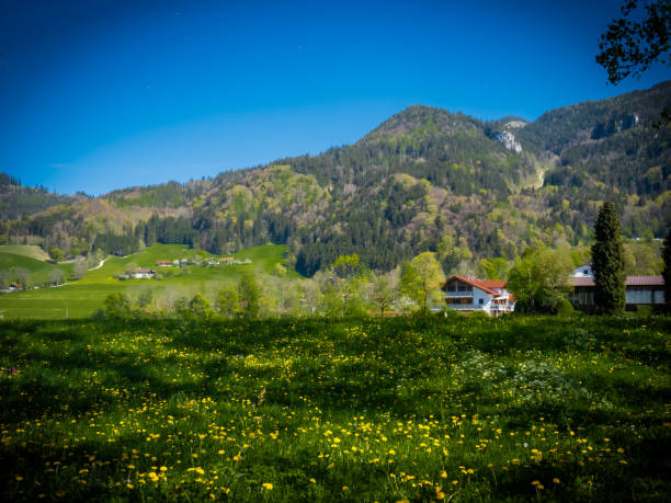 istock Fresh meadow in front of the mountains 2148746952