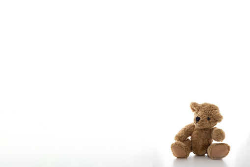 Portrait of little girl with white toy bear. Little girl holding teddy bear on white background with copy space