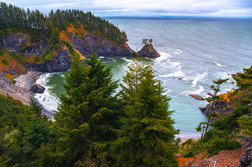 Samuel H. Boardman State Scenic Corridor with rugged cliffs and forest in Oregon, USA, offering a glimpse into Oregon's natural beauty.