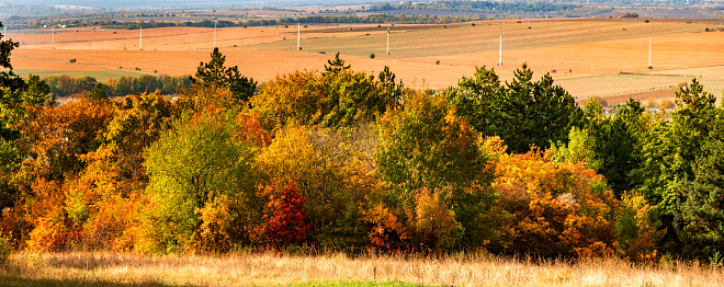Beauty autumn panorama of colorful trees, fields, and meadows