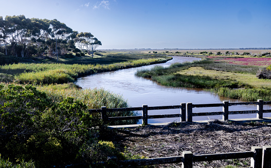 The Heuningnes River winds calmly through a bed of reeds near Cape Agulhas in South Africa, relecting a blue sky.