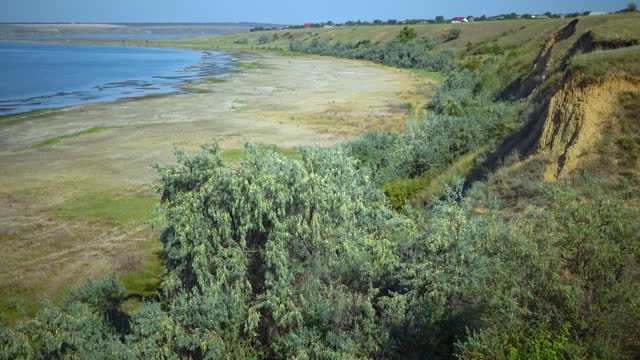 Wild steppe landscape of Tiligul estuary shore in summer, Ukraine