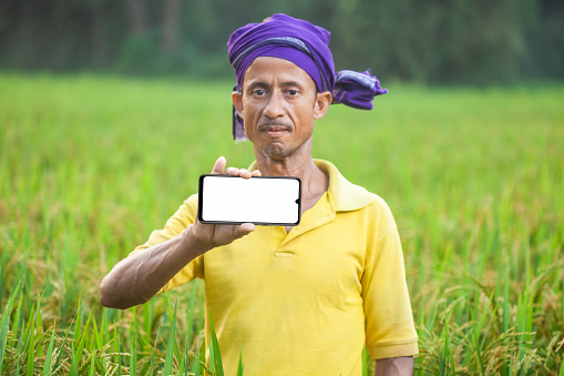 mobile screen, showing, farm worker, rural, sale, copy space, blank, agricultural field