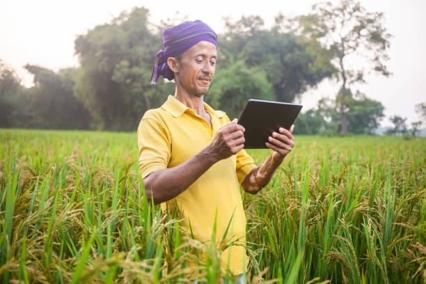 istock indian senior farmer using digital tablet and analyzing while standing in the agricultural field 2148752359