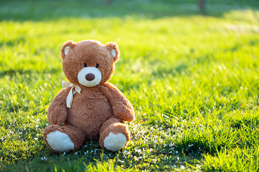 Big plush teddy bear sitting alone on green grass lawn in summer. Concept of childhood.