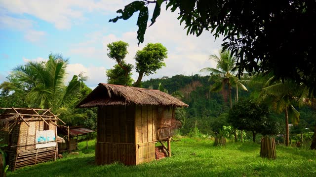 A small bamboo hut with a thatched roof against the background of the rainforest and green palm trees on the plot chickens are walking