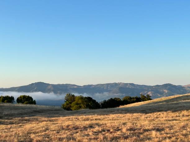 istock North Sonoma Mountain Regional Park, Sonoma County, CA 2148753074