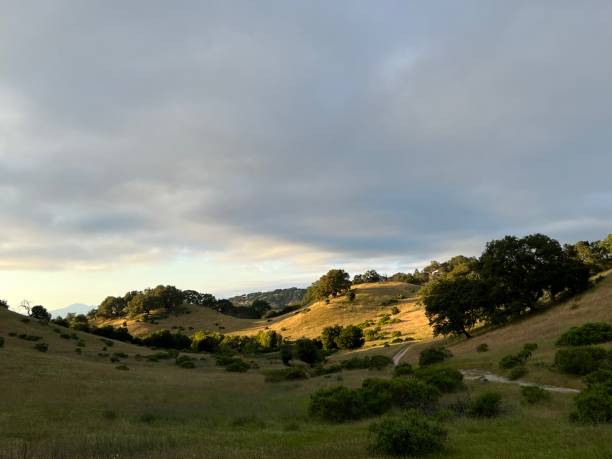 istock Shiloh Ranch Regional Park, Sonoma County, CA 2148753098