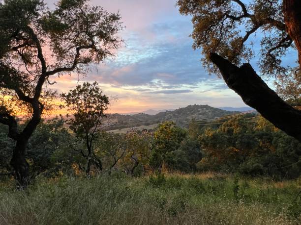 istock Dusk at Shiloh Ranch Regional Park, Sonoma County, CA. 2148753123