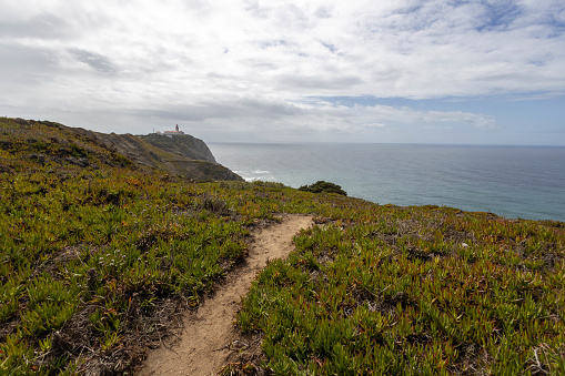 A path on a cliff in Portugal surrounded by succulent plants and in the distance a lighthouse and beautiful clouds