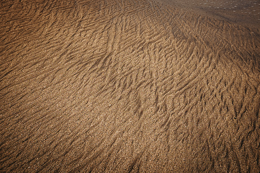 the jagged lines of a beach