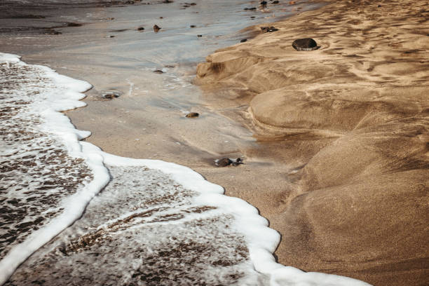 the designs created by the sea on a golden beach