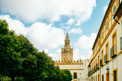Seville, Spain - 6 March 2020: Sunny Seville street and scenic view of Giralda tower
