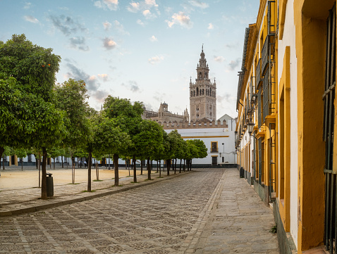 La Giralda Tower in Seville, famous landmark in Spain. Patio de Banderas with trees in the foreground.