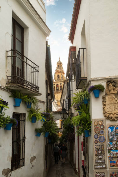 istock Bell tower of the Cordoba Cathedral 2148756228