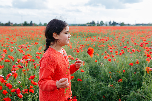 side view of dark haired girl standing in the poppy field holding flower in her hand